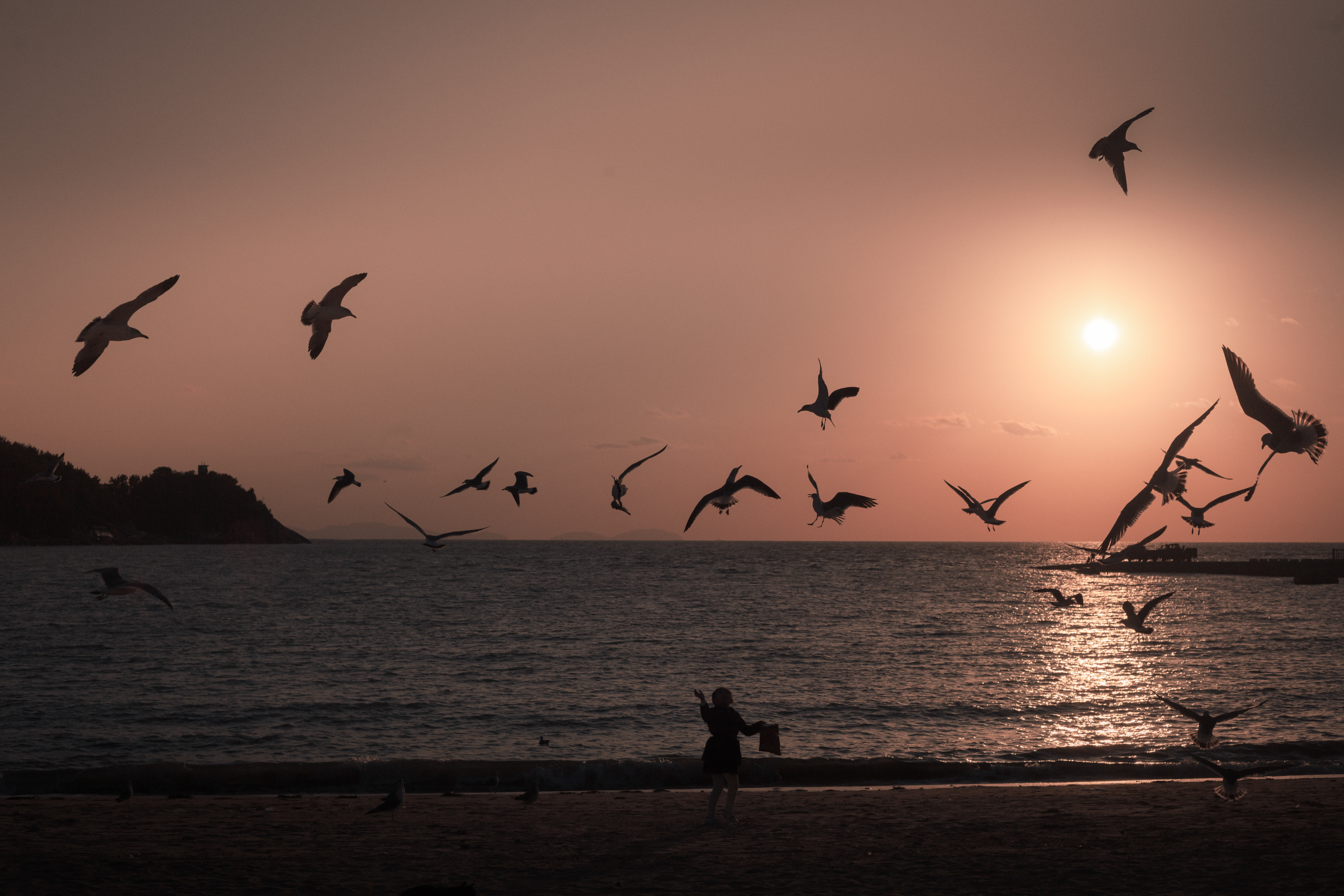 Jiangs photography
